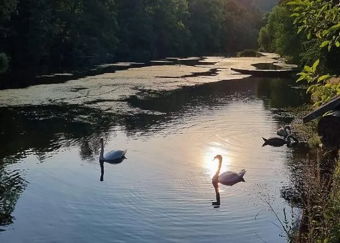 Haus Am Fluss Gars am Kamp