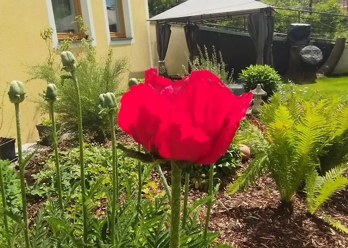 Villa Haus Am Fluss *